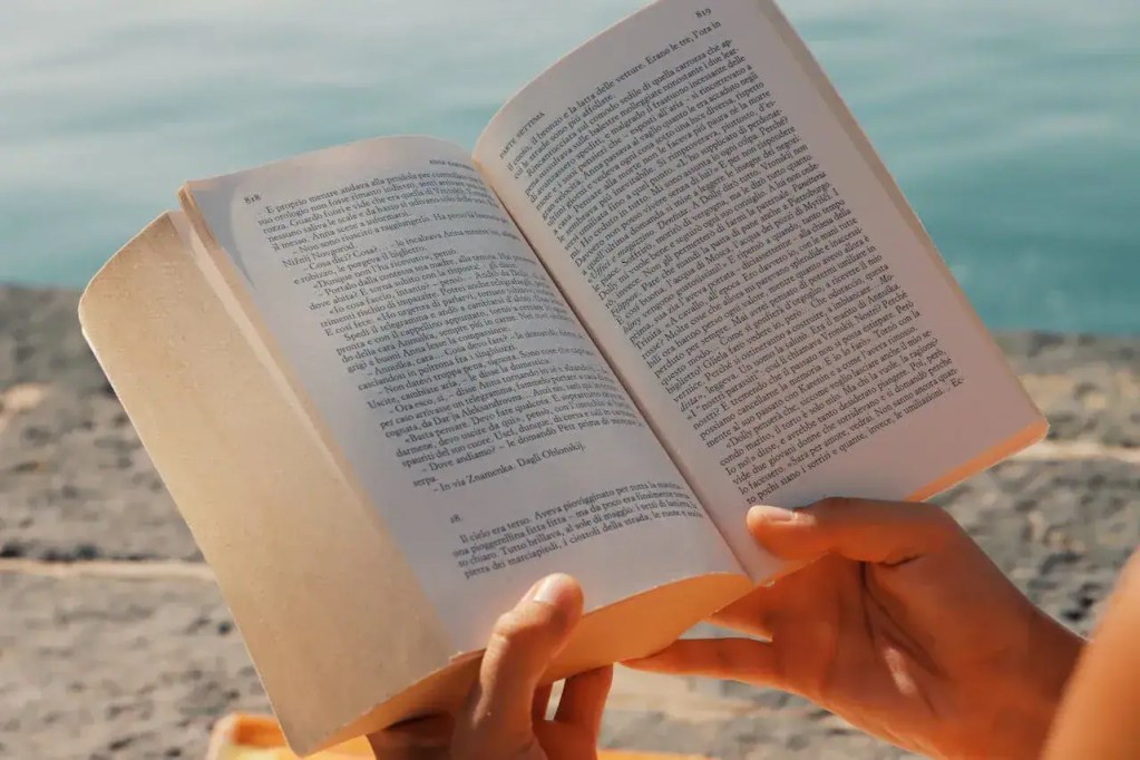 Boeken voor op reis op het strand